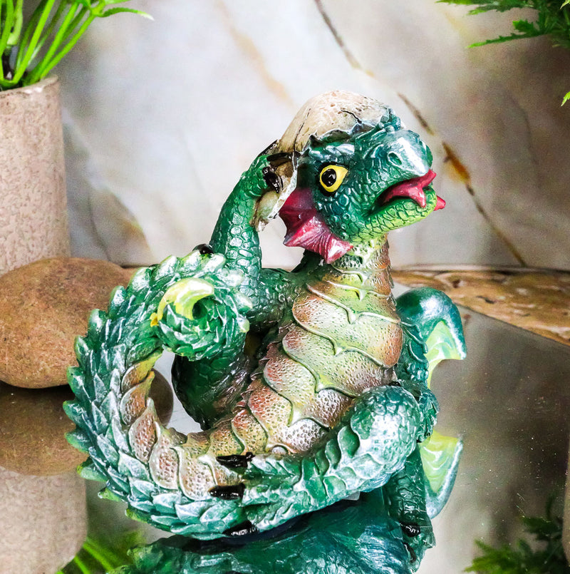 Adorable Green Earth Dragon Hatchling Baby Egg Shell Figurine 2.75"H Collectible