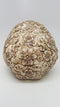 Skull Engraved with Floral Patterns Collectible Desktop Figurine Gift 6 Inch