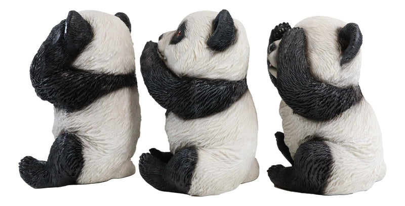 Ebros Adorable See Hear Speak No Evil China Giant Pandas Set of 3 Figurines