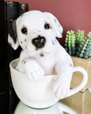 Ebros Realistic Adorable Spotted Dalmatian Puppy Dog in Teacup Statue 6" Tall Pet Pal