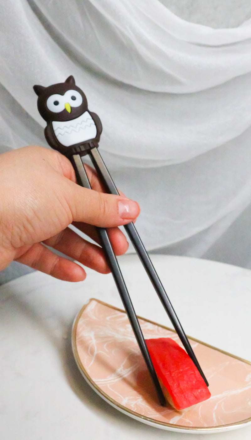 Japanese Chocolate Owl Bird Reusable Training Chopsticks Set With Silicone Guide