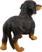 Ebros Large Lifelike Realistic Black and Tan Dachshund Dog Statue 19.5" Long