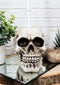 Macabre Grinning Skull Cranium Toilet Brush & Base Holder Bathroom 2 Piece Set