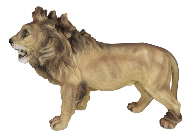 Realistic African Lion King Of The Jungle Growling And Baring Teeth Statue 16"L