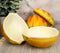 Ebros Yellow Onions Design Small Ceramic Serving Sauce Dipping Bowls Set of 2