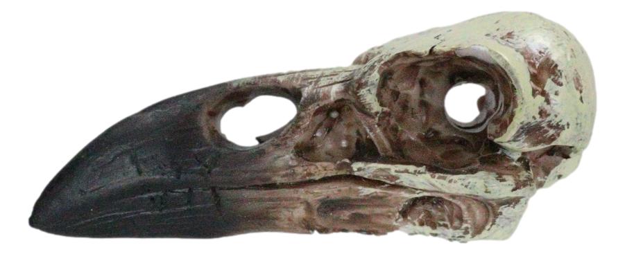 Pack Of 3 Gothic Reliquary Raven Crow Skull Small Pendant Talisman Figurines
