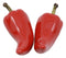 Mexican Large Juicy Red Jalapeno Chili Peppers Ceramic Salt Pepper Shakers Set