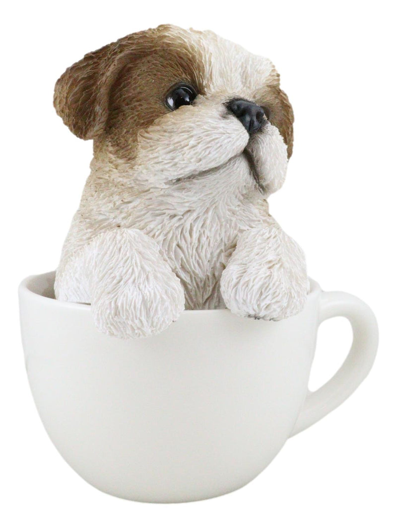 Realistic Adorable Shih Tzu Dog in Teacup Statue 5.75" Tall Pet Pal Decor Dogs