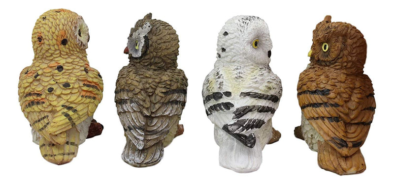 Colorful Nocturnal Owls Of The World Miniature Figurine Set of 4 Owl Theme Decor
