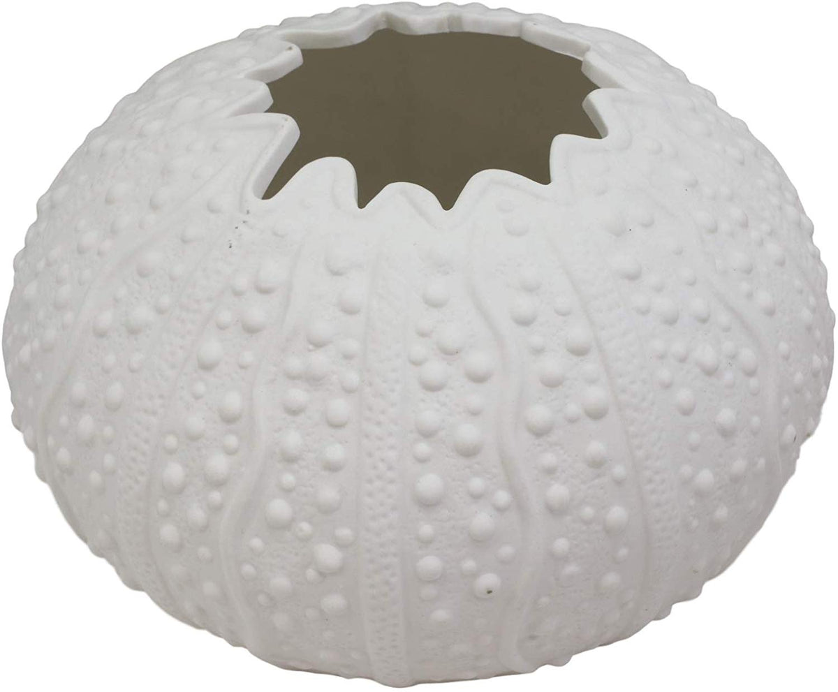 Ebros 7.5" Diameter White Sea Urchin Shell Ceramic Sculpture Pot Figurine (1)