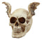 Ebros Day Of The Dead Guardian Angel Winged Skull Statue Time Waits For No Man Figure