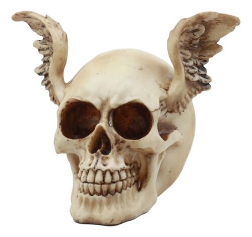 Ebros Day Of The Dead Guardian Angel Winged Skull Statue Time Waits For No Man Figure