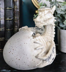 Ebros 5.5" Tall Skeleton Bone Wyrmling Dragon Hatchling From Egg Statue Figurine - Ebros Gift