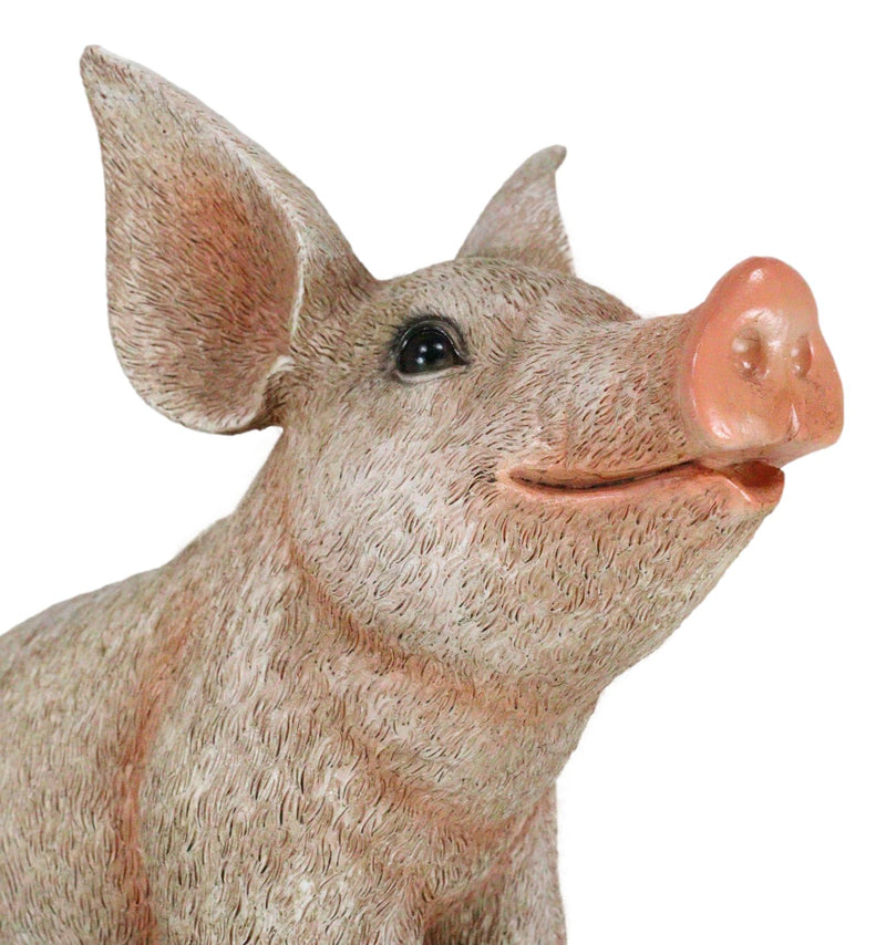 Large Country Farmhouse Adorable Realistic Animal Farm Babe Pig Sitting Statue