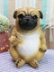 Ebros Feisty Pooch Rude Fat Pug Puppy Dog Flipping The Bird Figurine Guest Greeter