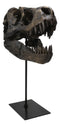 Jurassic Tyrannosaurus Rex T-Rex Faux Fossil Skull With Pole Display Mount 11.5"
