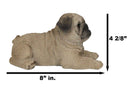 Lifelike Adorable Fawn Pug Puppy Dog Lying On Belly Figurine Pugsy Pet Pal Decor