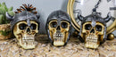 Set of Three Viking Warlords Skull With Battle Helmets Figurine Norse Mythology