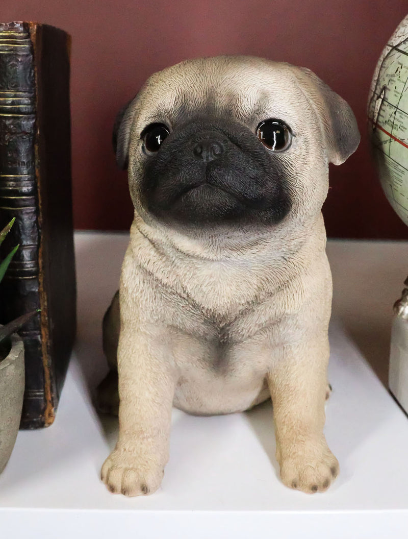 Ebros Lifelike Sitting Pug Dog Statue 6" Tall Pet Pal Figurine with Glass Eyes