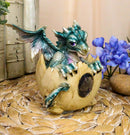 December Birthstone Dragon Egg Statue Onyx Gem Birthday Dragon Hatchling Figure
