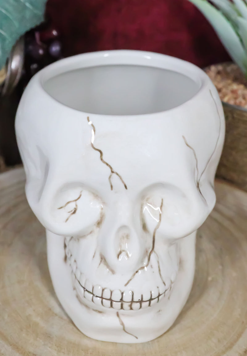 Ceramic Spooky Jointed Homosapien Human Skull Cereal Treat Soup Bowl 32oz