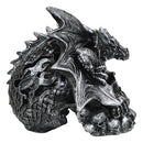 Large Dragon On Ossuary Morphing Skull with Celtic Tribal Patterns Figurine