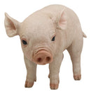 Large Adorable Realistic Animal Farm Babe Pig Piglet Statue 15"L Rustic Decor