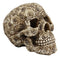 Ebros Tooled Ornate Floral Skull Figurine DOD Rose Sugar Skulls Statue 6.5"L