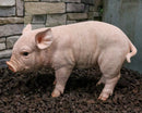 Large Adorable Realistic Animal Farm Babe Pig Piglet Statue 15"L Rustic Decor