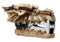 Skeleton Ossuary Bone Dragon Head Staple Remover 3.25"L Desktop Office Accessory