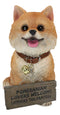 Adorable Pet Pal Pomeranian Puppy Dog With Jingle Collar And Plank Sign Statue