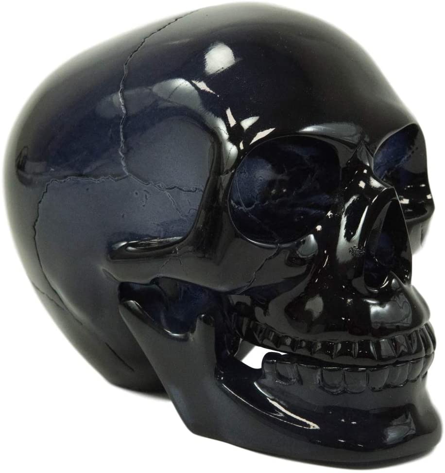 Ebros Black Translucent Jointed Cranium Skull Statue with Removable Jaw Bone
