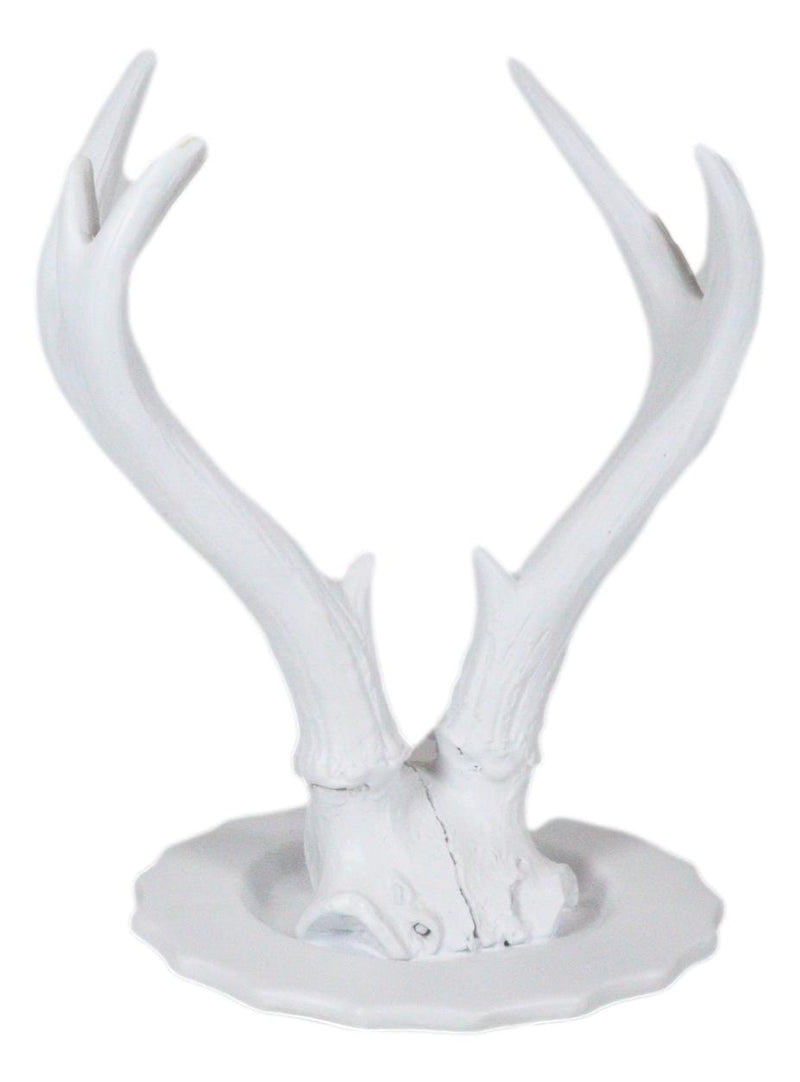 Contemporary Chic Rustic White Double Buck Deer Stag Antlers Jewelry Tree Holder