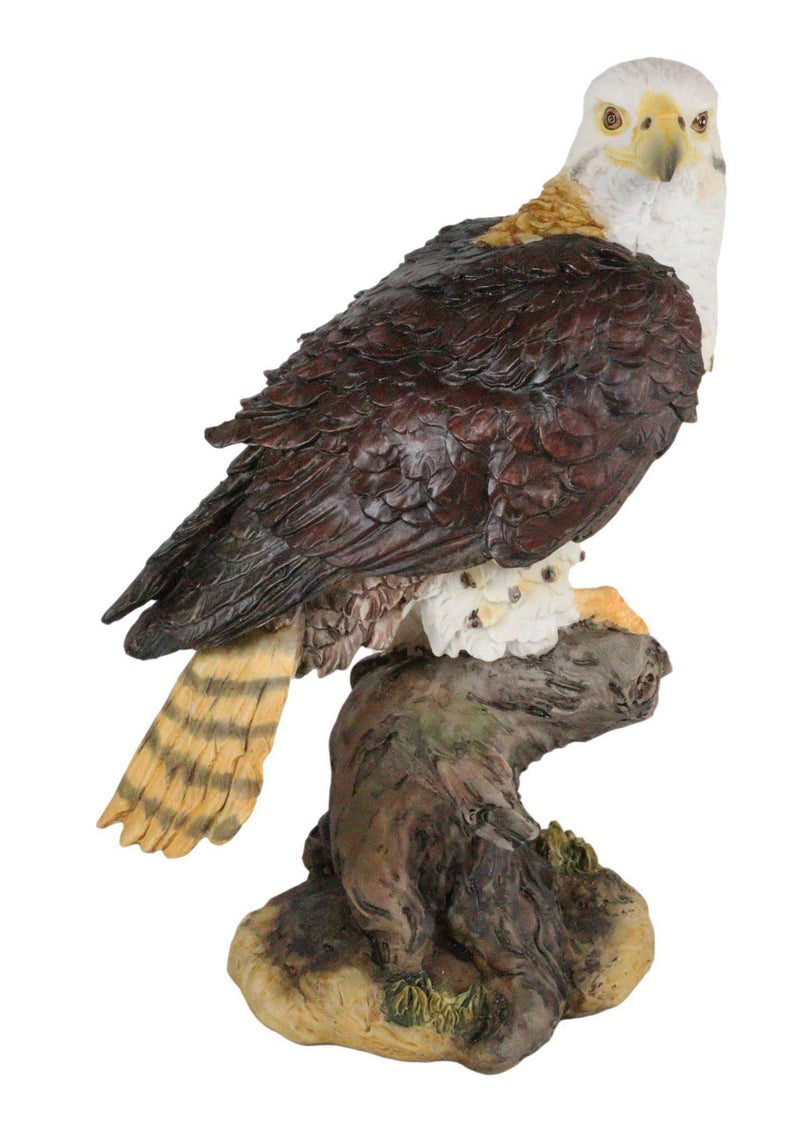 Ebros Wildlife Red Tailed Hawk On Tree Stump Statue Birds Of Prey Figurine 10"H