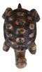 Nautical Marine Brown Long Necked Tortoise Rustic Wall Hook Hanger Figurine