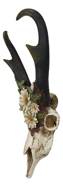 Western Rustic Pronghorn Antelope Skull With Antlers Feverfew Flowers Wall Decor