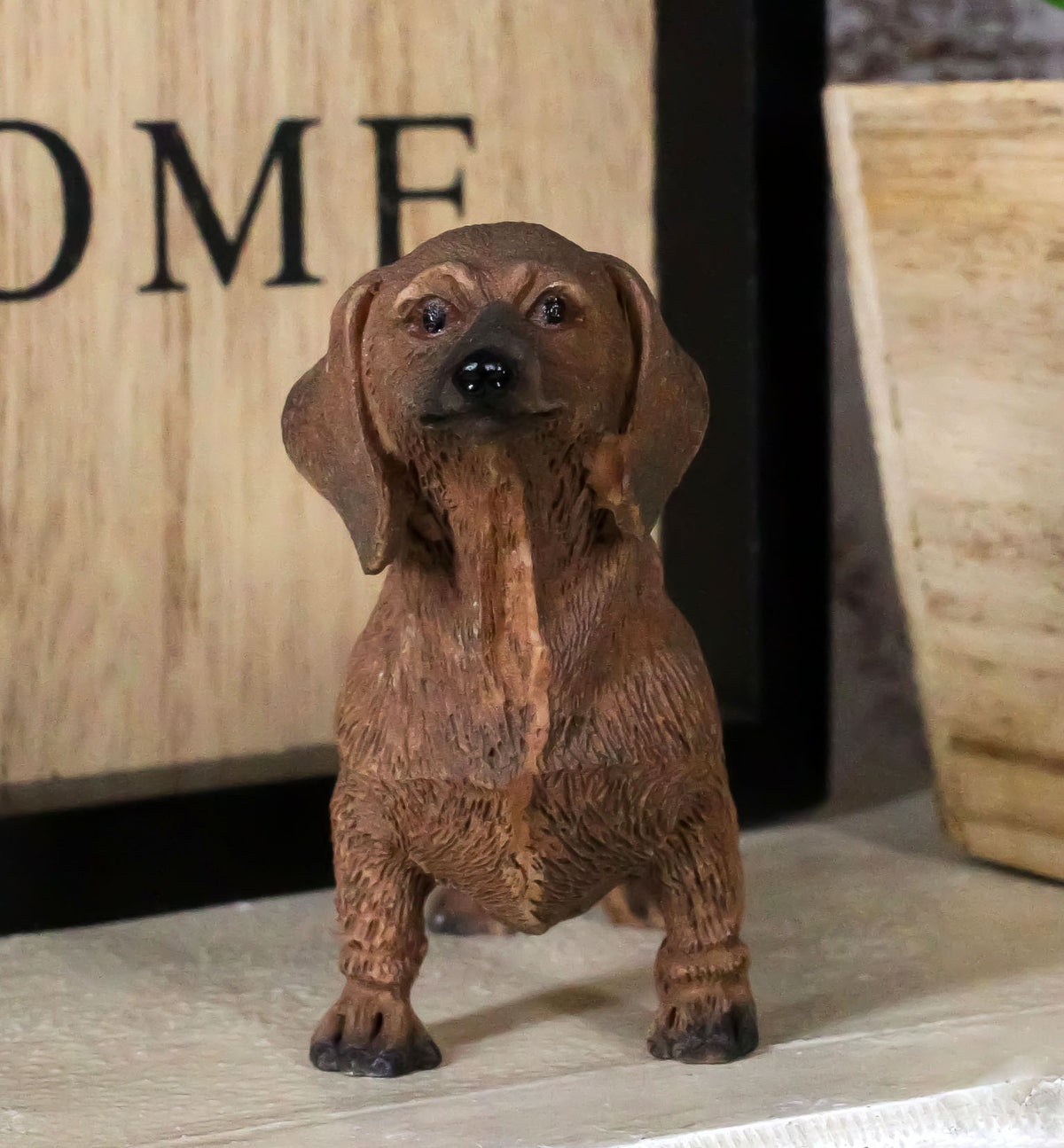 Adorable Lifelike Pet Pal Chocolate Dachshund Sausage Dog Miniature Figurine - Ebros Gift