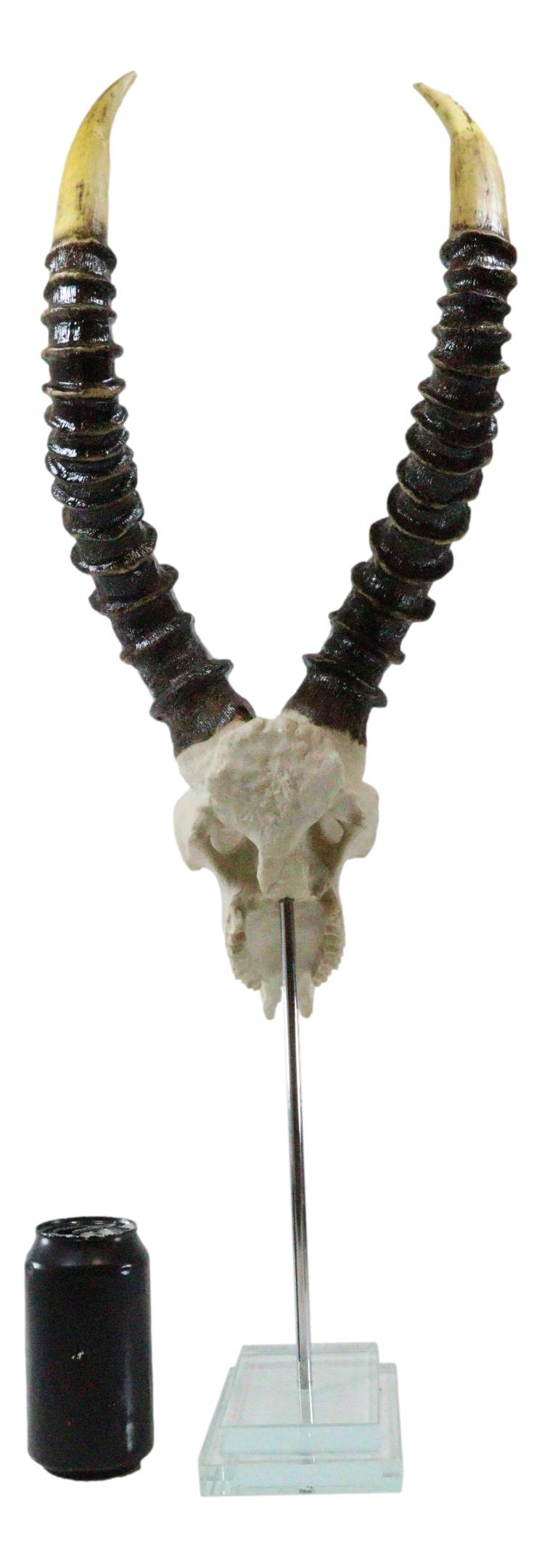 Vintage Faux Taxidermy Kudu Antelope Skull On Museum Pole Mount With Glass Base