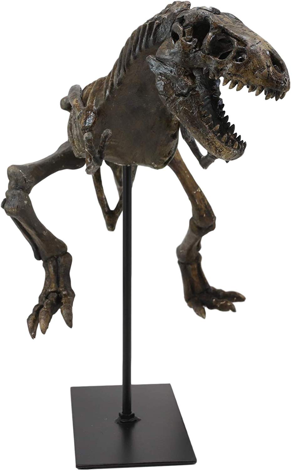 Ebros  Jurassic Dinosaur Tyrannosaurus Rex Fossil Skeleton Statue On Museum Mount 24"L - Ebros Gift