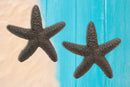 Ebros Cast Iron Ocean Coral Sea Star Shell Starfish Decorative Accent Statue in Rustic Bronze Finish 4.5" Wide Nautical Coastal Themed Decor for Wedding Beach Party Home Decorations DIY Crafts (2)