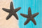 Ebros Cast Iron Ocean Coral Sea Star Shell Starfish Decorative Accent Statue in Rustic Bronze Finish 4.5" Wide Nautical Coastal Themed Decor for Wedding Beach Party Home Decorations DIY Crafts (2)
