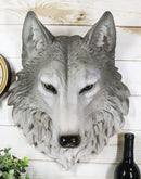 Large Gray Timber Wolf Head Wall Decor Plaque 16.5"Tall Taxidermy Art Decor