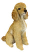 Large Realistic Groomed Brown Poodle Statue 18.5"H Animal Pet Pal Poodles Dog