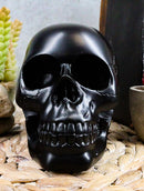 Ebros Charcoal Black Voodoo Skull Statue Cranium Decor Figurine Collectible