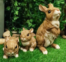 Set Of 3 Whimsical Mother Bunny Rabbit With 2 Babies Fairy Garden Figurines