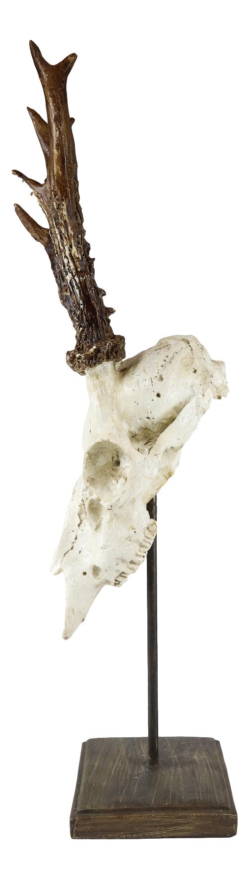 Large 15"H Rustic Roe Deer Buck Head Skull On Museum Pole Stand Base Figurine