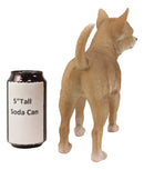 Lifelike Shorthair Deer Head Chihuahua Dog Statue 9.5"Long With Glass Eyes