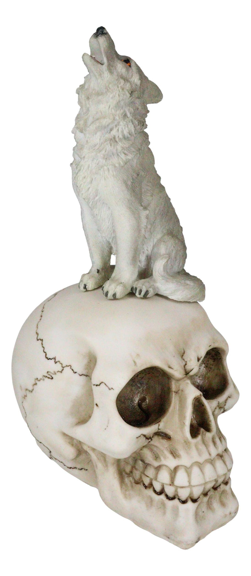 Gothic Full Moon Howling Gray Wolf Sitting On Graveyard Macabre Skull Figurine