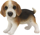 Ebros Realistic Adorable Tri Color Beagle Dog Puppy Figurine 5.75" Long