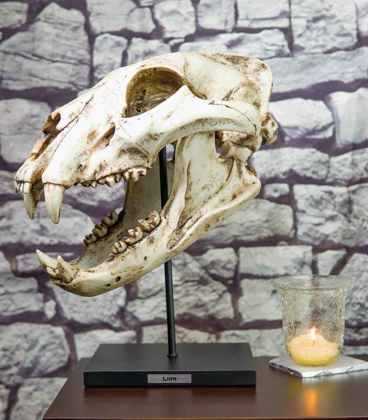 African Lion Fossil Skull Baring Jaws and Teeth Statue On Museum Pole Mount 14"H - Ebros Gift